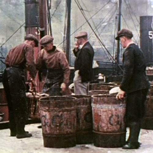 Wick's herring industry
